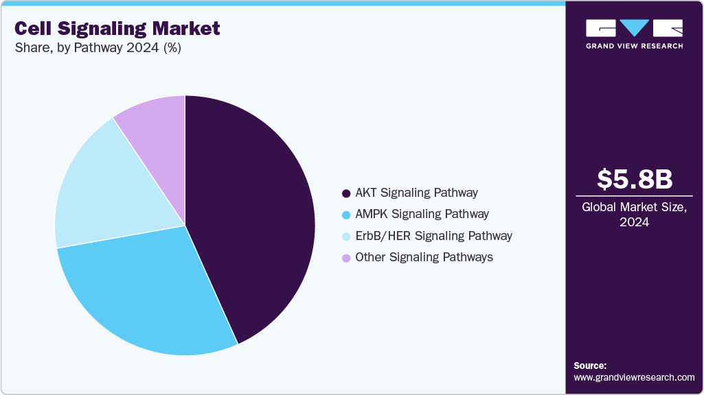 Cell Signaling Market Share Cell Signaling Market Share