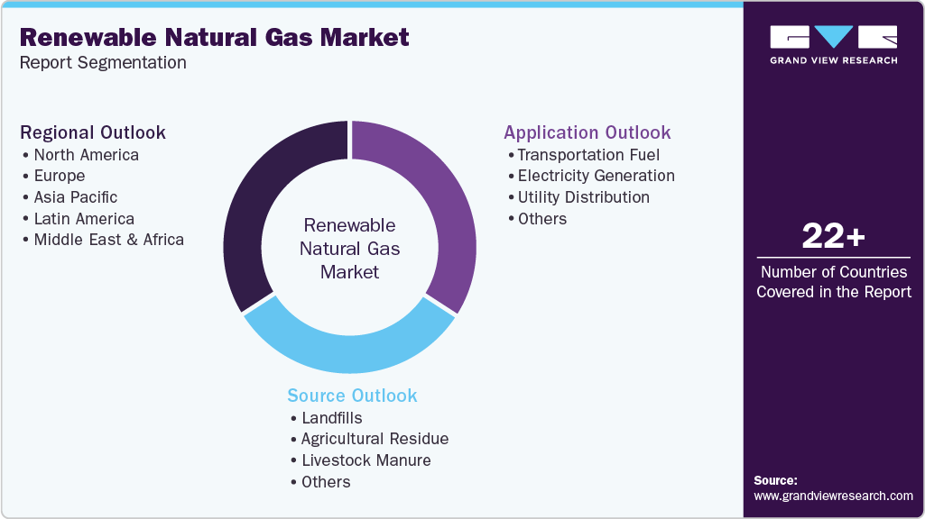 Global Renewable Natural Gas (RNG) Market Report Segmentation