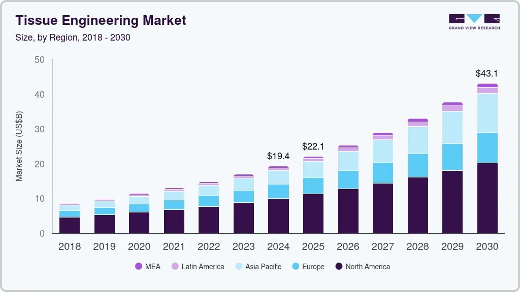 Tissue engineering market size by region, and growth forecast (2025-2030)